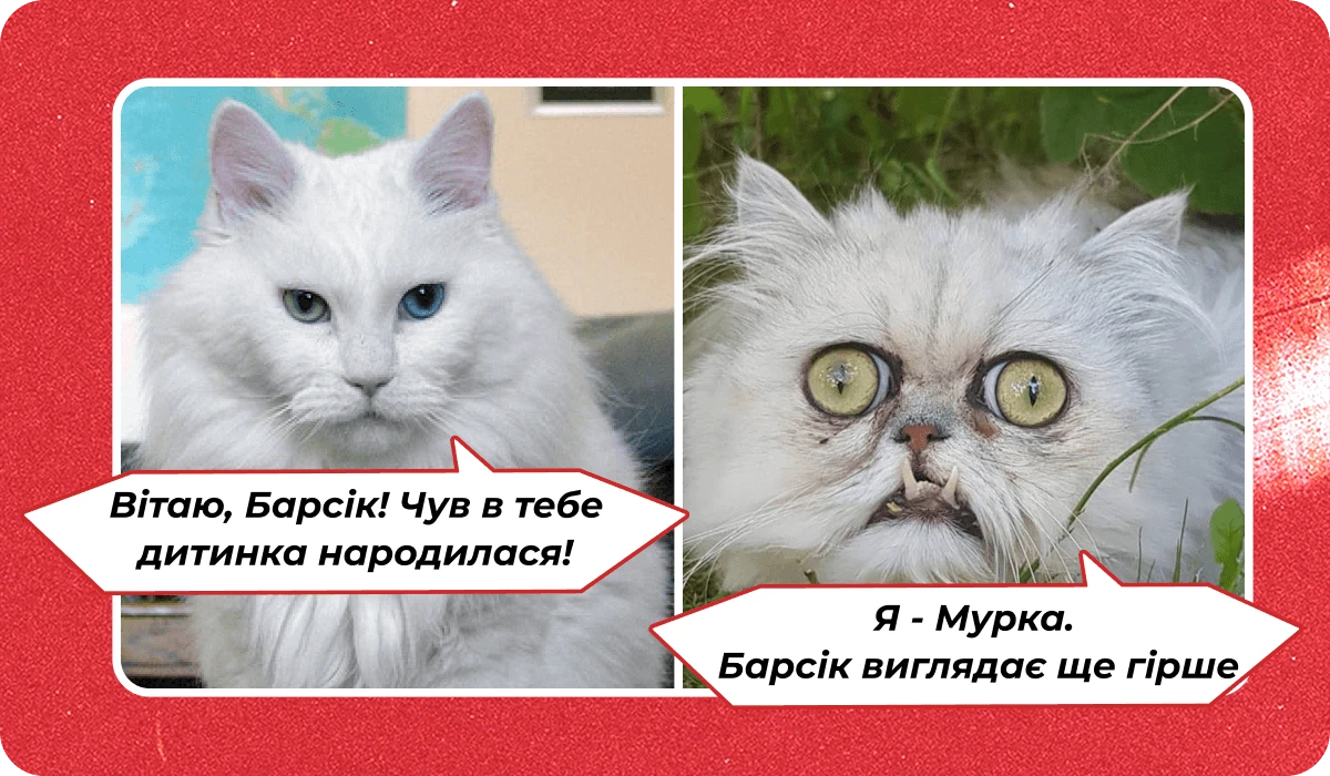 основне зображення для Про неділиму відпустку. Паперовий медвисновок. Штрафи за ВО. Некомпенсацію відпусток. Відстрочку багатодітному 🙋♀️ Ранковий кадровик від 14.05.2025