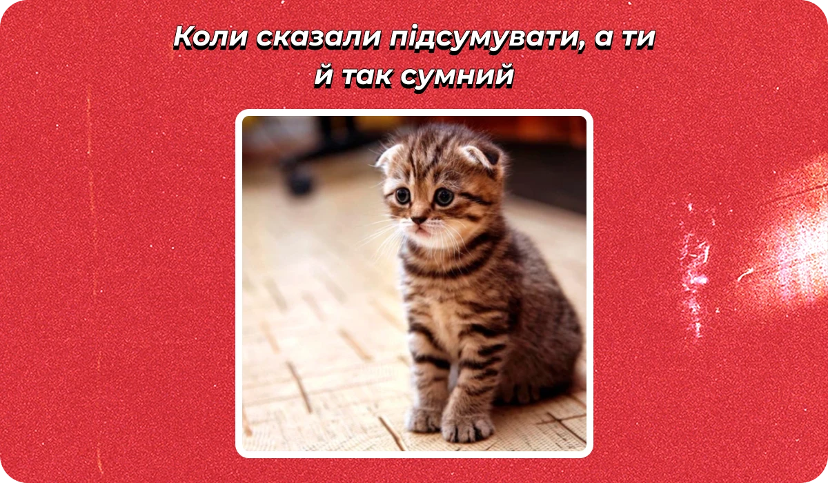 основне зображення для Про кількість заяв в «Дії». (Не)дійсні додатки до ТЦК. Соцвідпустку на дітей. Кадрові документи-2026. Табель за 15 днів 🙋‍♀️ Ранковий кадровик від 17.02.2026