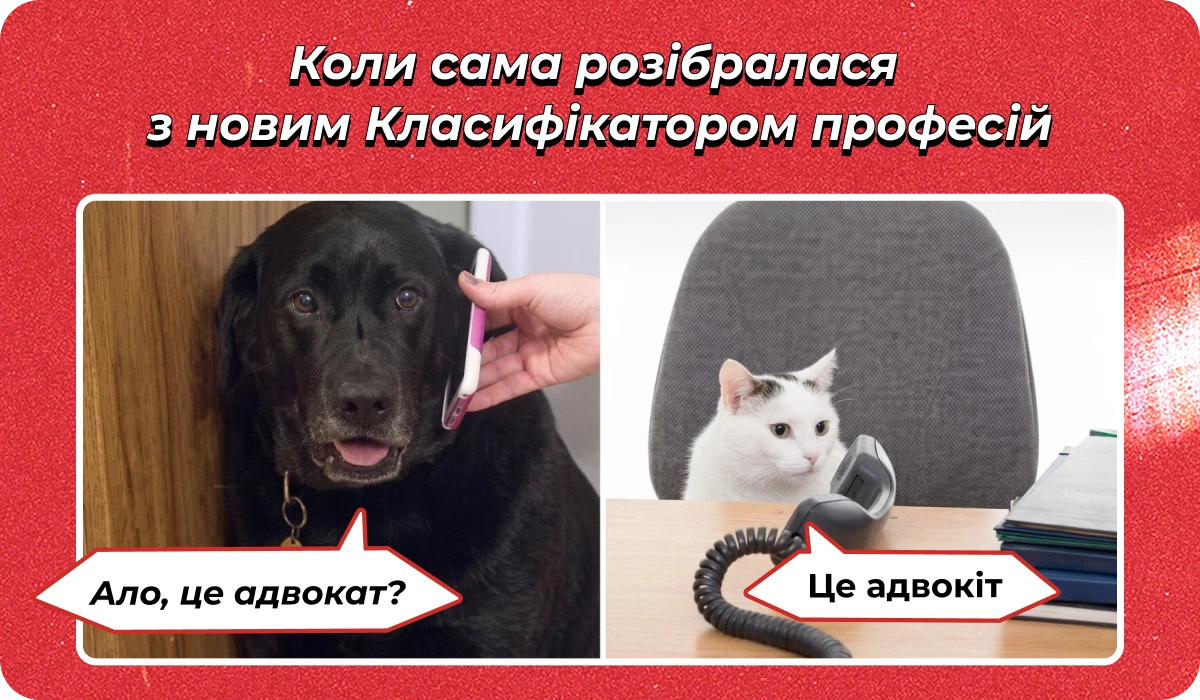 основне зображення для Про (не) втрату броні при зміні прописки. Критичність для ФОПа. БЗВП для заброньованих. КП з 02.05. Квоту 4%, якщо 8 осіб 🙋‍♀️ Ранковий кадровик від 22.04.2026