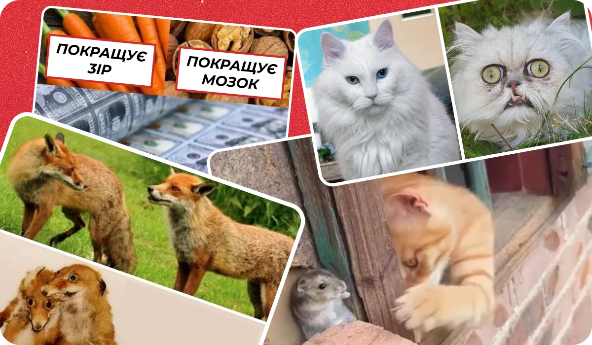основне зображення для Про бронь ФОПам, відстрочку педагогам, неділиму відпустку, перевірки Держпраці, комісію «по лікарняних», підсумки тижня🙋♀️ Ранковий кадровик від 19.05.2025