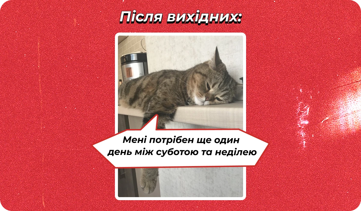 основне зображення для Про чотириденку. Бронювання без ВОД. Норму РЧ – 2025 (оновлено). Відстрочки у серпні 🙋‍♀️ Ранковий кадровик від 25.07.2025