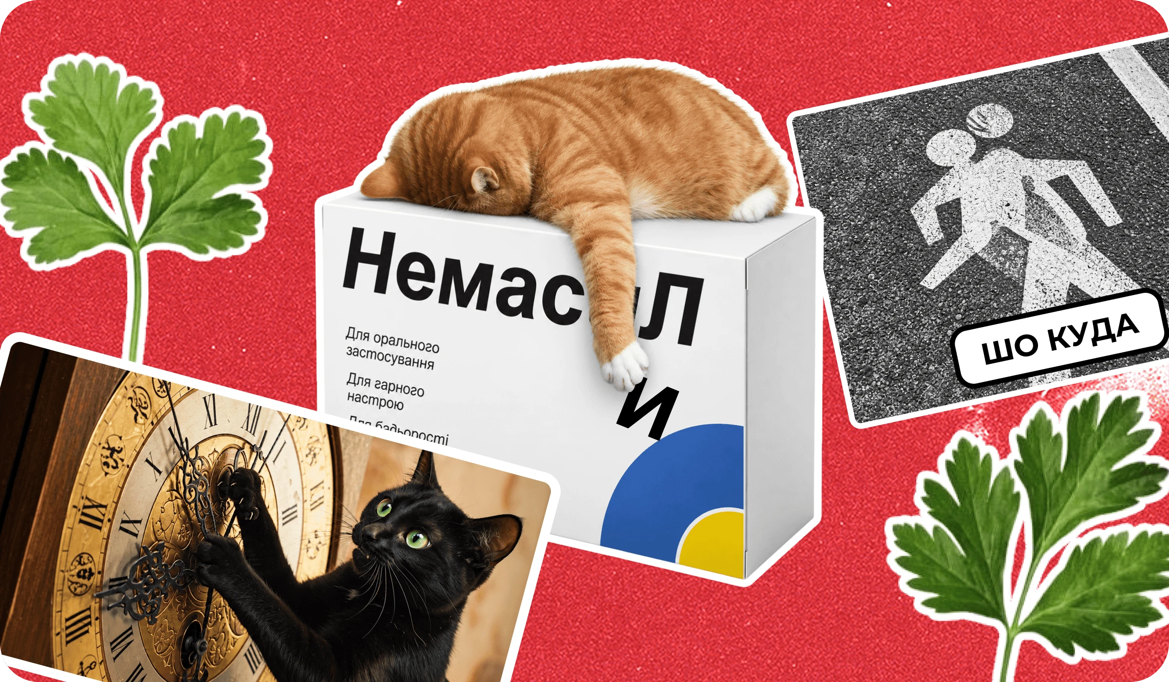основне зображення для Про дату е-ВОД, відпустку «до кінця війни» та підсумки тижня 🙋‍♀️ Ранковий кадровик від 21.09.2026