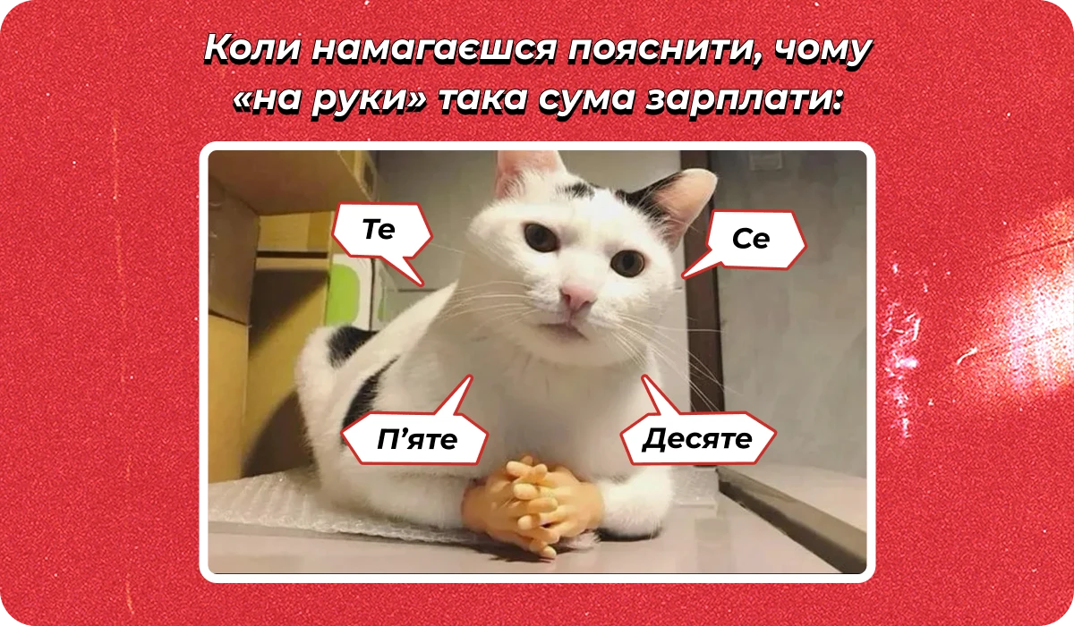 основне зображення для Про Держбюджет-2026. Звіт про транспорт до ТЦК. (Не)скасування відстрочок з «ІІІ групою». Нові накази з 01.01.26 🙋‍♀️ Ранковий кадровик від 05.12.2025