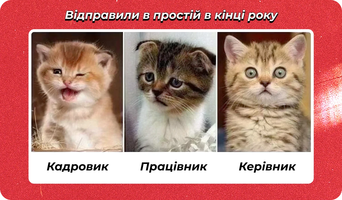 основне зображення для Про додаток 4 при розбронюванні. «Інвалідний» внесок. Тривалість відпустки ветерану. Придатність до служби. Бронь після змін 🙋‍♀️ Ранковий кадровик від 24.12.2025