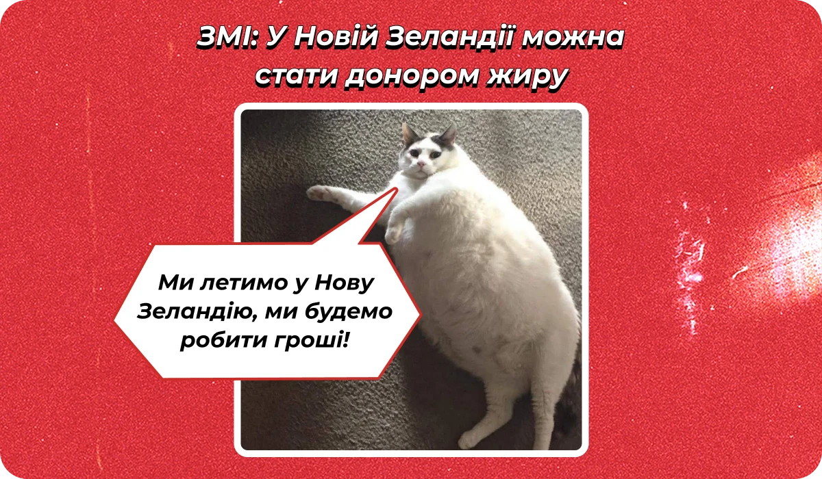 основне зображення для Про графіки перевірок і звіряння ТЦК. Акт внутрішнього звіряння. Штраф до 10.03. Призупинення з 14.03  🙋‍♀️ Ранковий кадровик від 25.02.2026