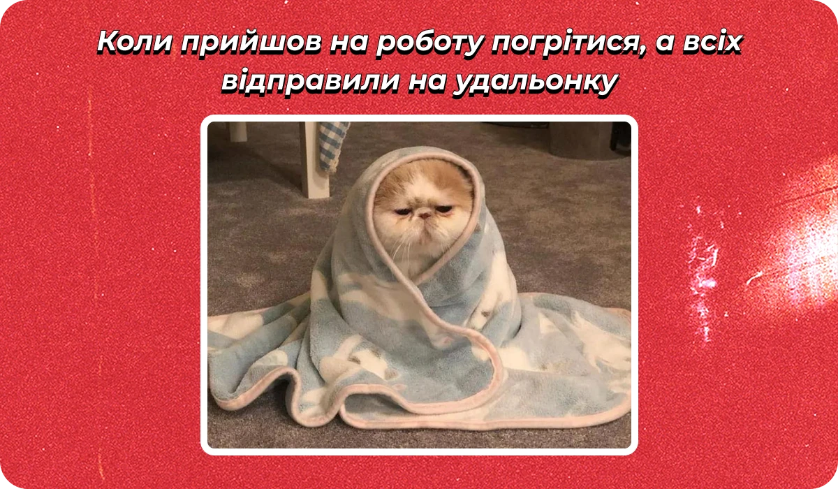 основне зображення для Про графіки перевірок та звіряння ТЦК. Списки ВО на 01.01. Втрату відстрочок. Трудову книжку поштоматом. ВС з 03.02 🙋‍♀️ Ранковий кадровик від 13.01.2026