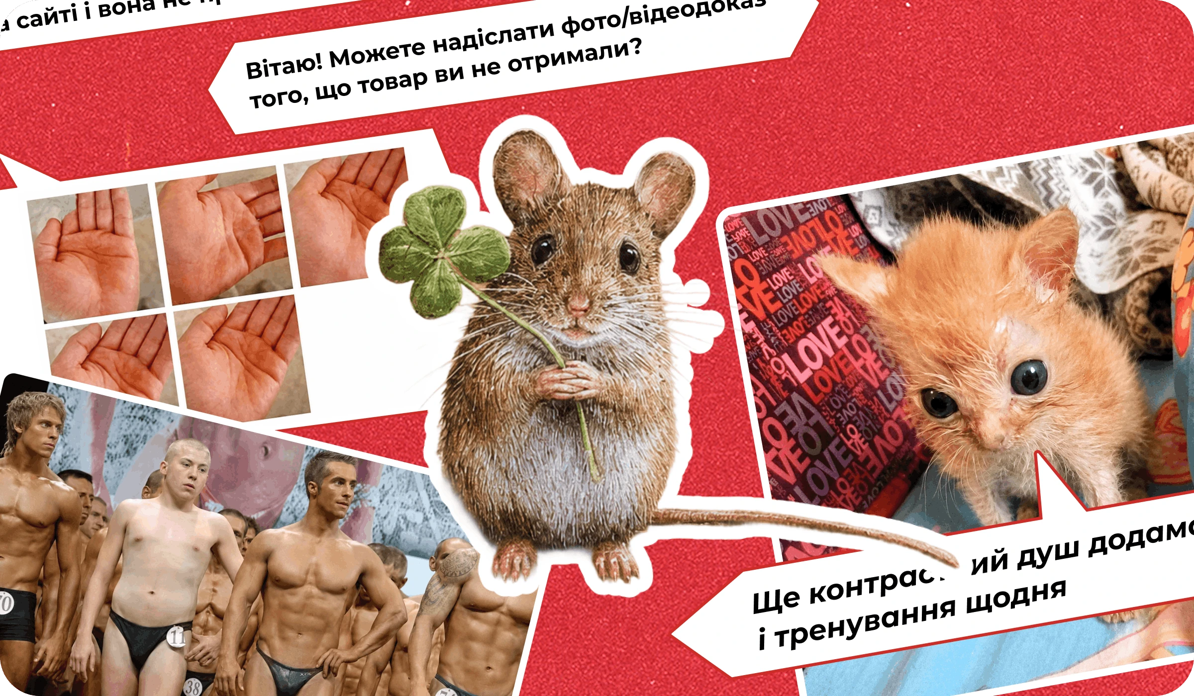 основне зображення для Про критерії критичності, перебронювання в «Дії», посадові інструкції з 02.06, видачу ТК, скасування звіту, підсумки тижня 🙋♀️ Ранковий кадровик від 15.06.2026