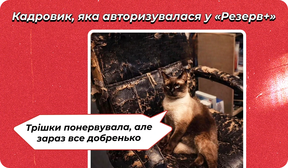 основне зображення для Про мобілізацію жінок. Зміни до Правил №1000/5. Сканування ТК пенсіонерів. (Не)оплату ВЛК. Призупинення замість дистанційки 🙋‍♀️ Ранковий кадровик від 24.03.2026