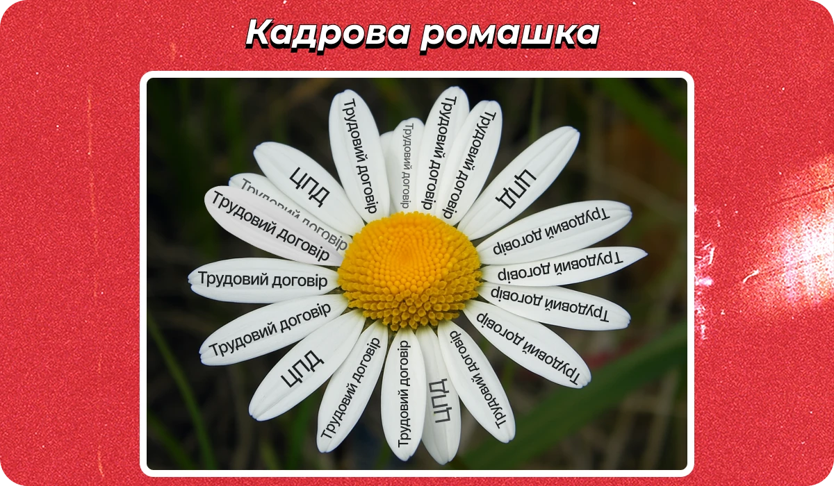 основне зображення для Про мораторій на перевірки. Лікарняні після звільнення. Дошкільну науку. Оформлення відрядження. Виправлення помило 🙋♀️ Ранковий кадровик від 23.07.2025