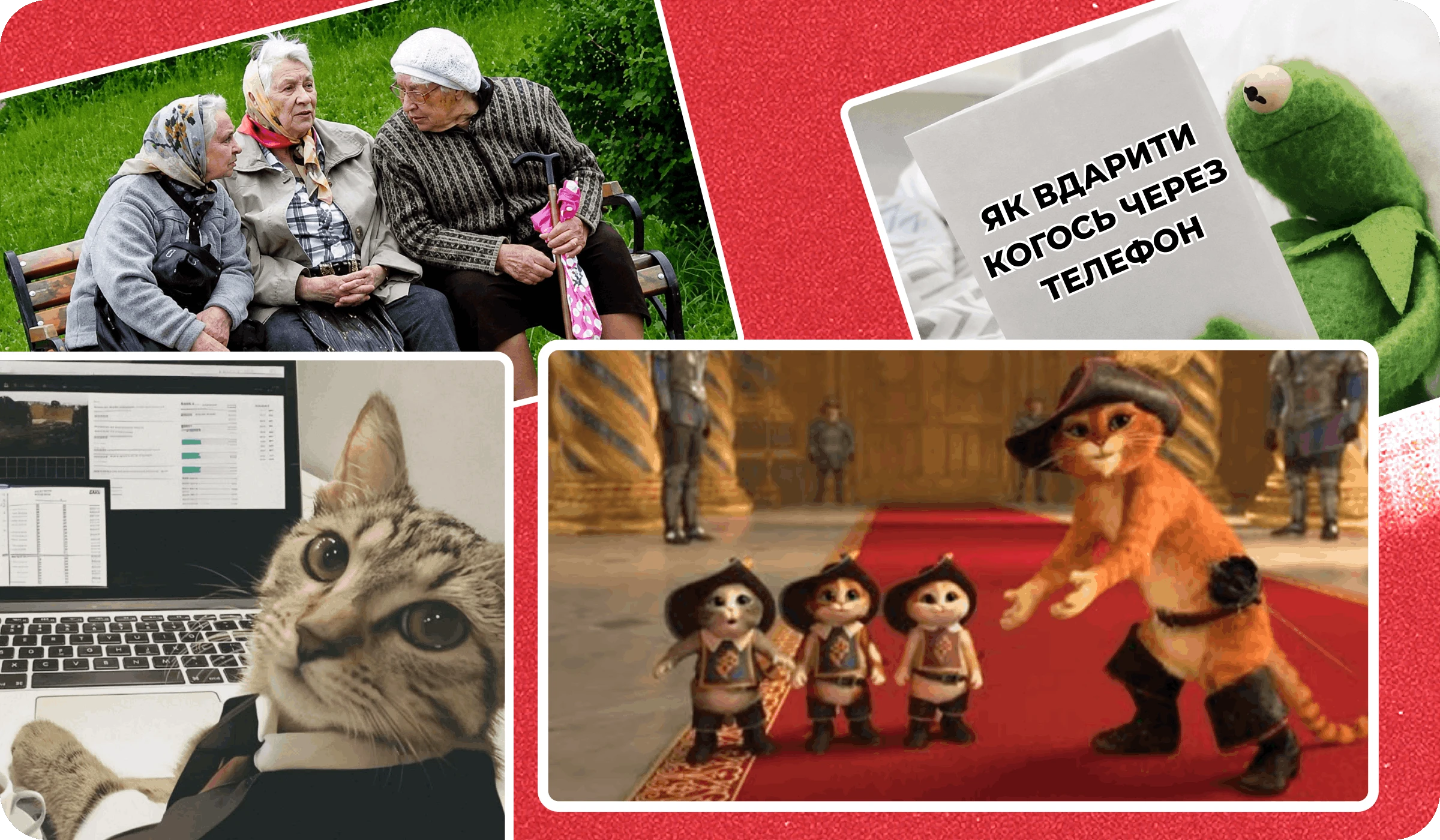 основне зображення для Про не втрату стажу з 02.08, накази «про директора», Звіт до 10.08, перехід на основне місце, графу 15 Списків, підсумки тижня 🙋‍♀️ Ранковий кадровик від 10.08.2026