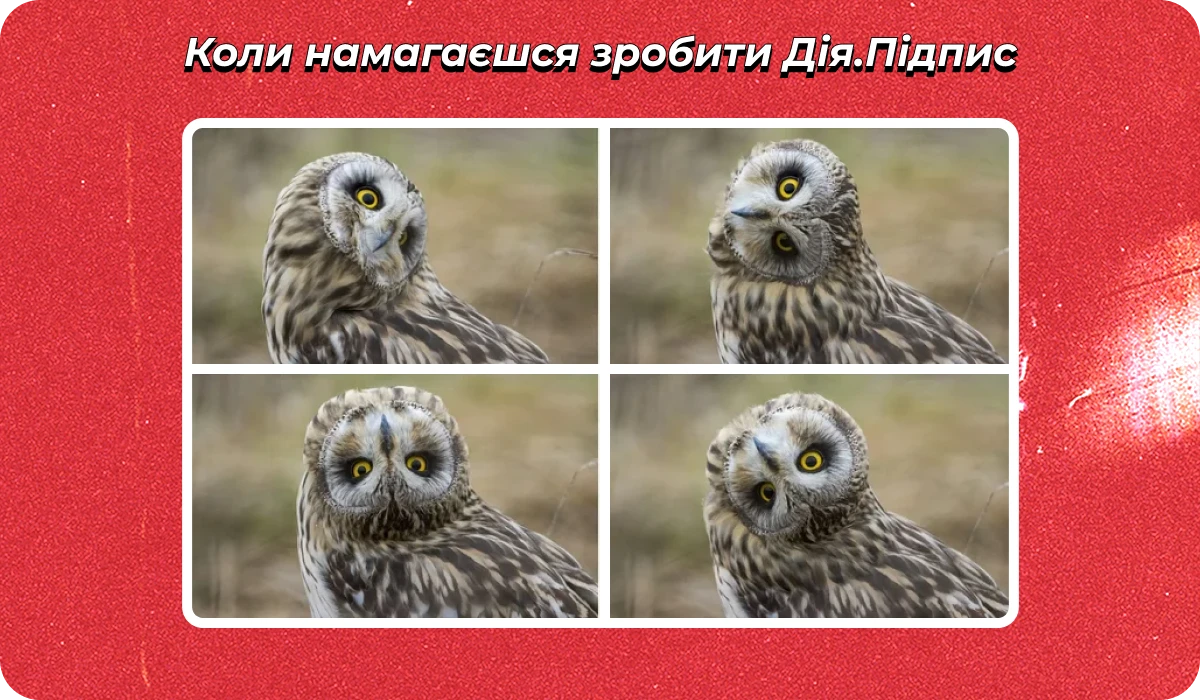 основне зображення для Про (не)новий додаток 4. Паперові трудові книжки. Єдиний журнал з ВО. Вихідний донору. Розрахунок компенсації відпусток🙋♀️ Ранковий кадровик від 18.12.2025