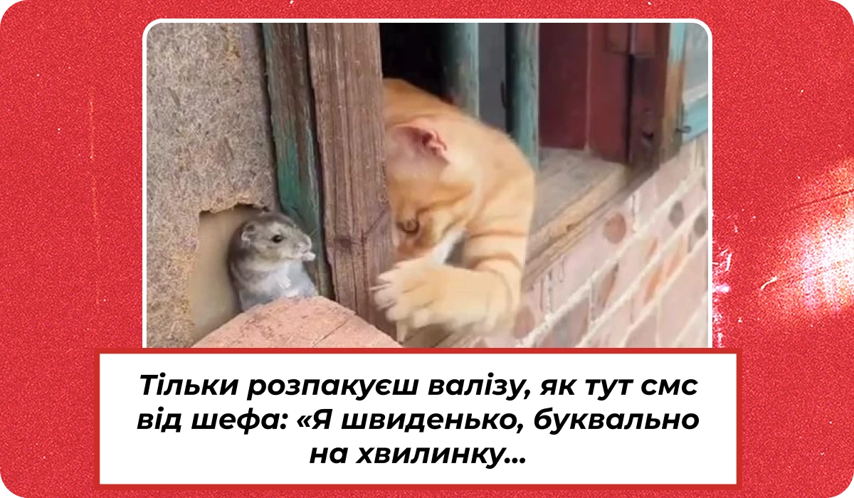 основне зображення для Про (не)сплату штрафу від ТЦК. Вручення повісток вдома. Призупинення по-новому. Нові тарифні розряди. ТЦК про ВЛК 🙋♀️ Ранковий кадровик від 16.05.2025