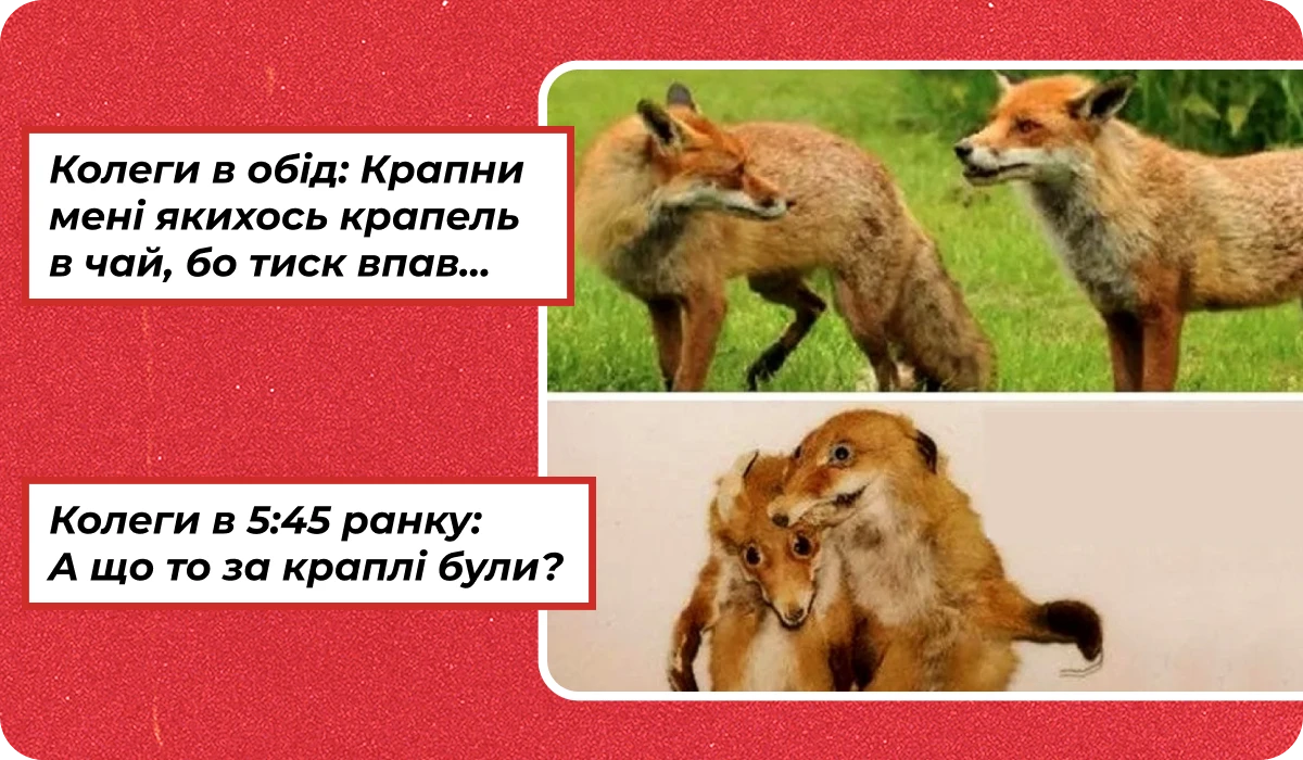 основне зображення для Про «примусову» відпустку. Нові зміни до КЗпП. Бронювання «порушника правил ВО». Забезпечення ЗІЗ. Додаток 4 про ВЛК🙋♀️ Ранковий кадровик від 15.05.2025