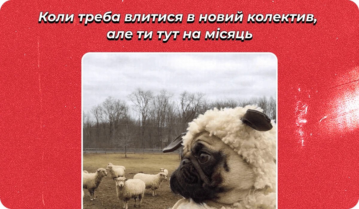 основне зображення для Про роботу на місяць. Е-направлення на ВЛК. Бронювання освітян. Коригування лікарняних.🙋‍♀️ Ранковий кадровик від 30.01.2025