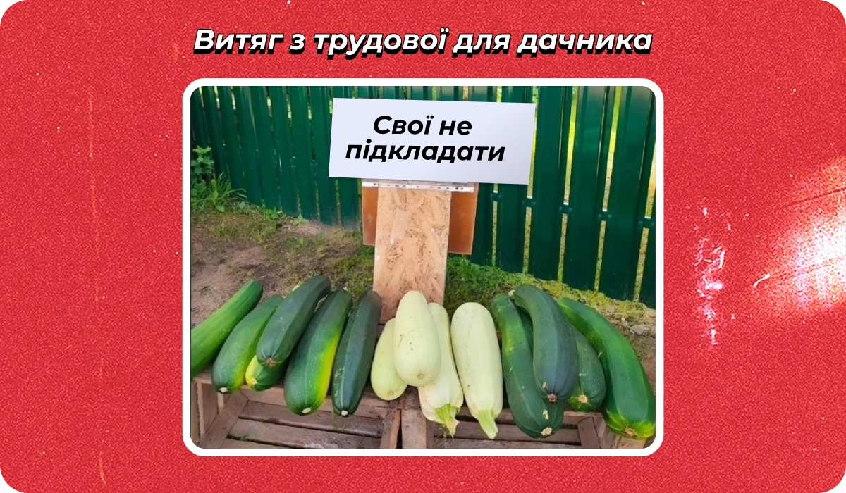 основне зображення для Про відпустку з вихідного. Сертифікат ВО для «бюджетників». Скасування військових квитків. Втрату «критичності» 🙋♀️ Ранковий кадровик від 17.09.2025