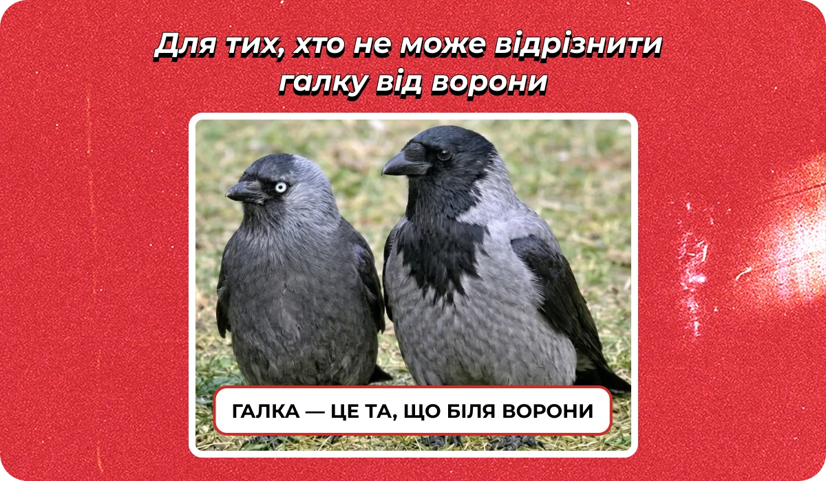 основне зображення для Про зміни в Законі 2136. Мобілізацію за 72 години. Оновлення «Резерв+». Кілька відпусток підряд. Штраф за Порушення ВО 🙋♀️ Ранковий кадровик від 21.05.2026