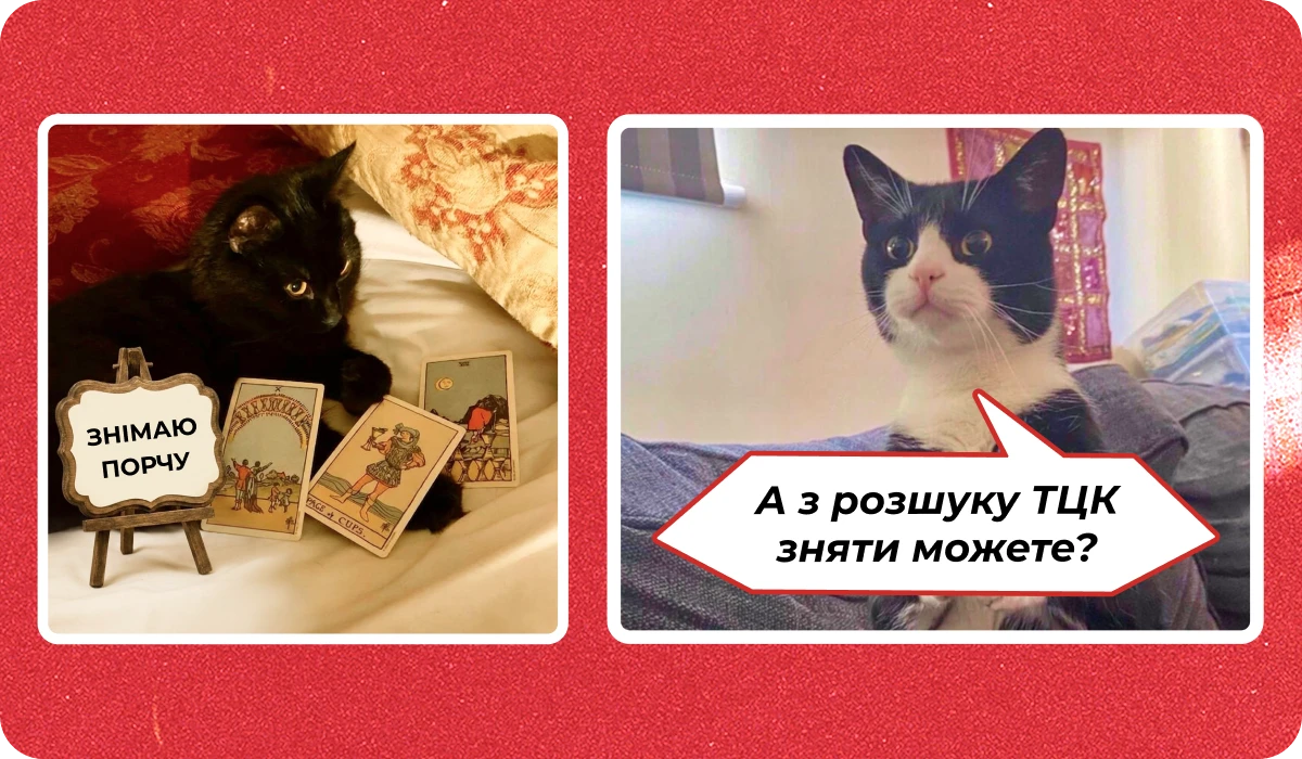 основне зображення для Про зняття з розшуку через ЦНАП. Борг по аліментах і відстрочку. Зміну ВОС у військовому квитку. Вихід на пенсію. Картку П-2 🙋‍♀️ Ранковий кадровик від 30.04.2026