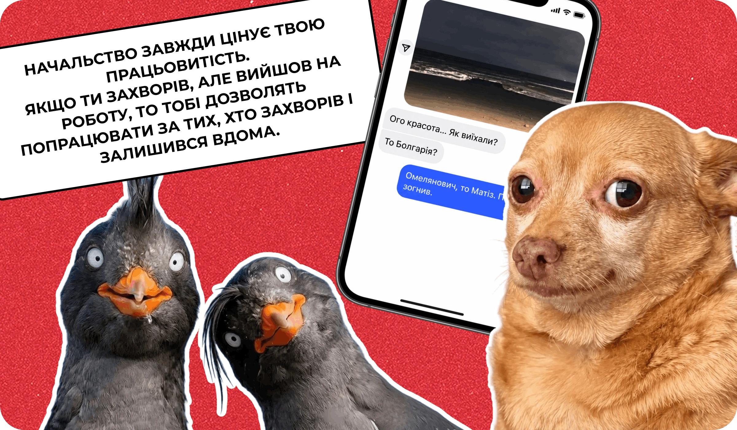 основне зображення для Про звіт про норматив 4%, (не)призов після 55 та підсумки тижня 🙋‍♀️ Ранковий кадровик від 14.09.2026