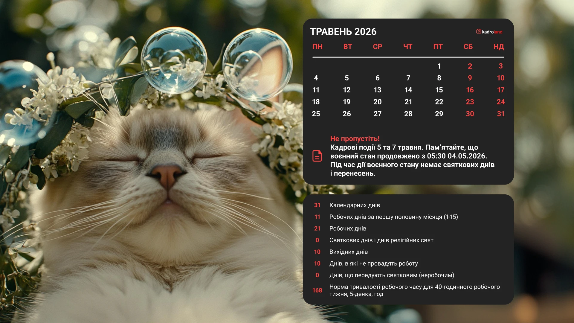 основне зображення для Шпалери для робочого столу кадровика на травень 2026 року